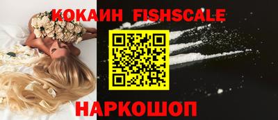 гидра Гатчина