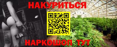 гидра Гатчина