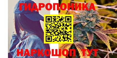 каннабис Гай