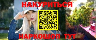гидра Гатчина