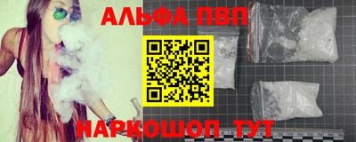 гидра Гатчина